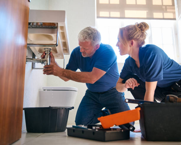 Best Clogged Drain Plumber  in Lake Mills, IA
